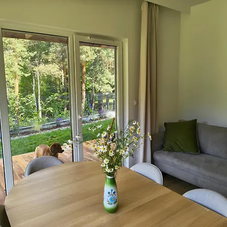 Villa Aura Kaszub - Lesne Laczyno